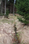 Potůčky a studánky